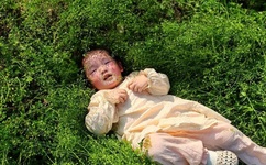 晴雅集电视剧免费观看